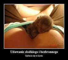 Opłaca się być miłym i słodkim