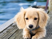 <3.