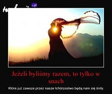 Sny są naszym drugim życiem...