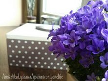 kwiatek na tle szkatułkk