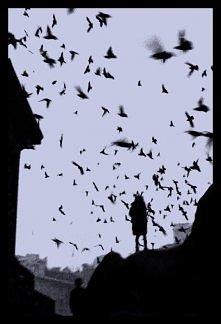 To nie jest tak, że mam Cię gdzieś. Ja po prostu udaję mocniejszą niż jestem. Udaję, że nie zwracam na Ciebie uwagi, próbuję Cię nie zauważać i staram się o Tobie nie myśleć. Ni...