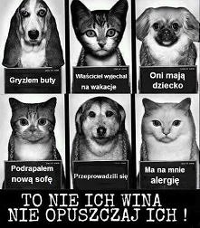 Zgadzam się w 100% To, że jedziesz na wakacje czy, ze rodzi ci się dziecko nie znaczy, że musisz oddać zwierzaka do schroniska czy porzucać. One też mają uczucia