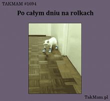po całym dniu na rolkach