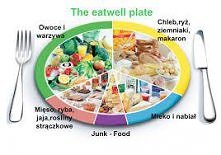 the eatwell plate