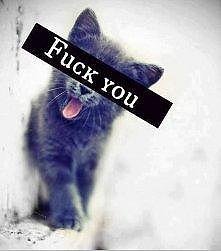 Fuck you !