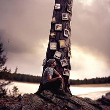 Photo Drzewo, Kolumbia Brytyjska