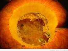 Dynia gigant z niespodzianką ;) 
// cała galeria na stronie nie chce mi się wrzucać każdego zdjęcia ^^