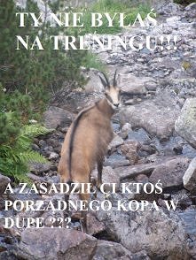 Mam nadzieje że kozica nikogo dziś nie musi skopać ;)
