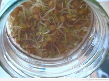 31 / 36   Widok z dołu na k...