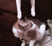 /////