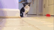 OMG