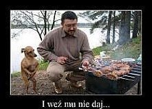i weź mu nie daj...