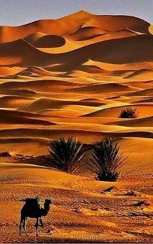 Rajasthan, India