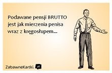 Podawanie pensji brutto...
