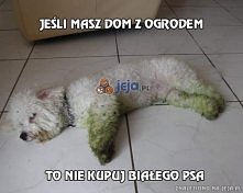 albo na odwrót.. ;)