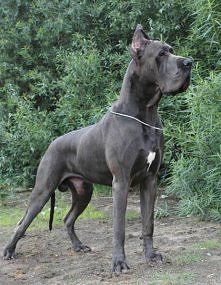 Tak bardzo chcę ! <3