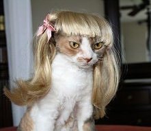 MEOW