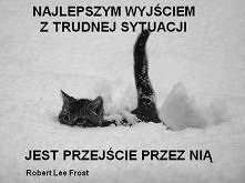 kotyk wrócił;)