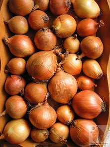 KONKURS - znajdź 5 błędów i...