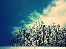 violaphotography . <3