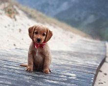 CHODŹMY NA SPACER, OK?