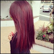 Omnomnomno :3 Moja przyszła...