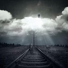 Ci vediamo in cielo R.I.P Kamil