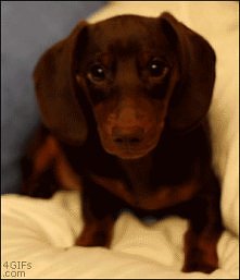 awww