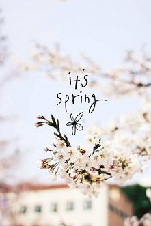 it's spring