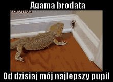 Szkoda pająka :|