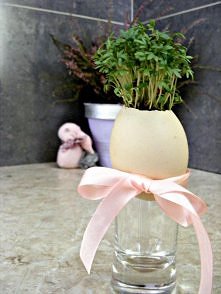 Rzeżucha w jajku :)

Szczegóły na blogu barbea.blogspot.com