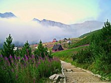 Dolina Gąsiennicowa