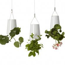 Startuje Bonami.pl! 
Dołącz...