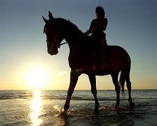 Ktoś jeździ konno? Bo ja bardzo chętnie C: