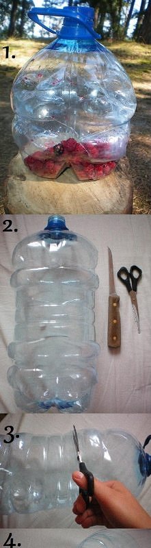 Instrukcja krok po kroku jak własnoręcznie wykonać koszyk na leśne maliny.