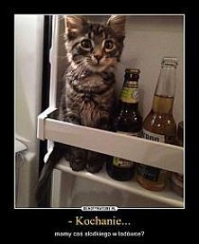 KOCHANIE...