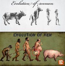 evolucja