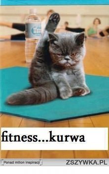 hahaha, po pierwszym dniu z...