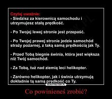 a ty co zrobisz??