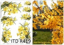 Za oknami kwitnie forsycja, a na papierach żonkile...