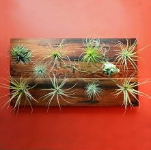 kolejna minimalistyczna forma