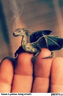 jak będę dorosła to sobie takiego wyczaruję :)