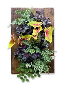 fantastyczny dobór roślin, ...