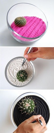 DIY : zen gardens