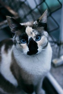 <33