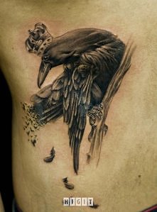 ptak z koroną na głowie