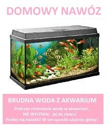 domowe sposoby ;)