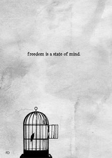 freedom