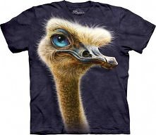 Zdziwiony struś? Zamyślony? Sama zdecyduj. Wybierz swoją koszulkę na geekcode.pl