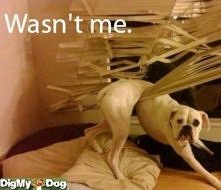 ,,,,